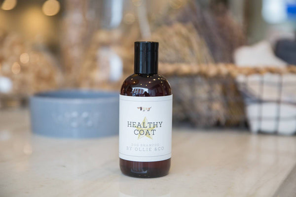 Healthy Coat Dog Shampoo with Sweet Orange Oil & Neroli by Ollie & Co