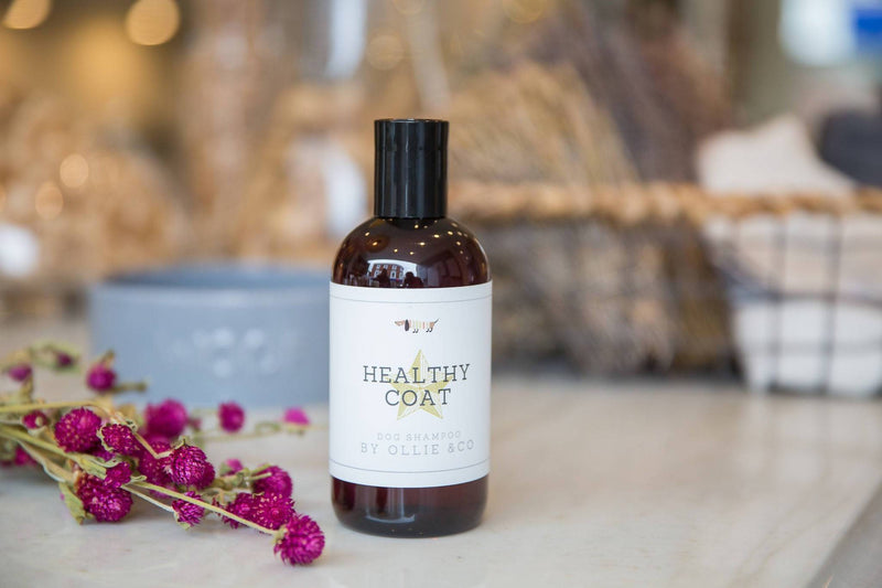 Healthy Coat Dog Shampoo with Sweet Orange Oil & Neroli by Ollie & Co