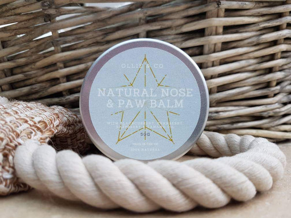 Dog Nose & Paw Balm with Raspberry & Tamanu Oil Natural Nose & Paw Balm - 50ml with Shea Butter and Sweet Almond Oil for Rich Conditioning