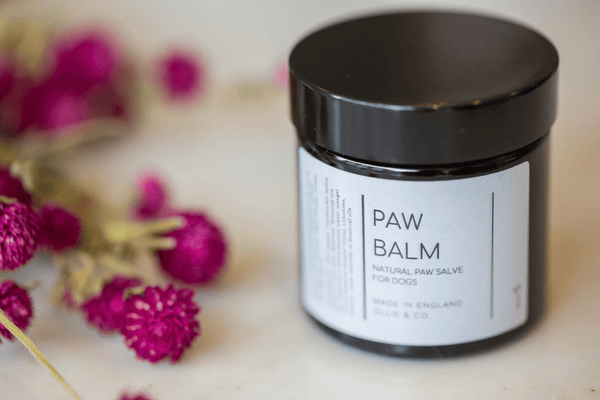 Natural Dog Paw Balm - 100% Natural Balm with Organic Hemp