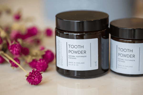 Natural Dog Tooth Powder
