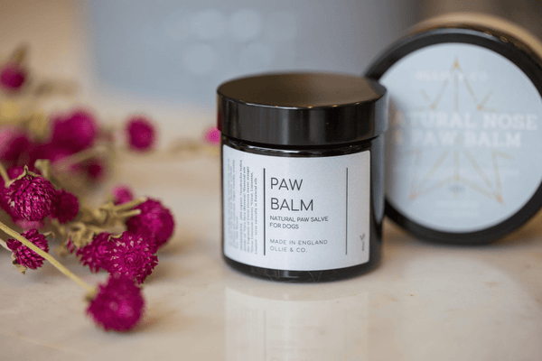 Natural Dog Tooth Powder and Paw Balm Set