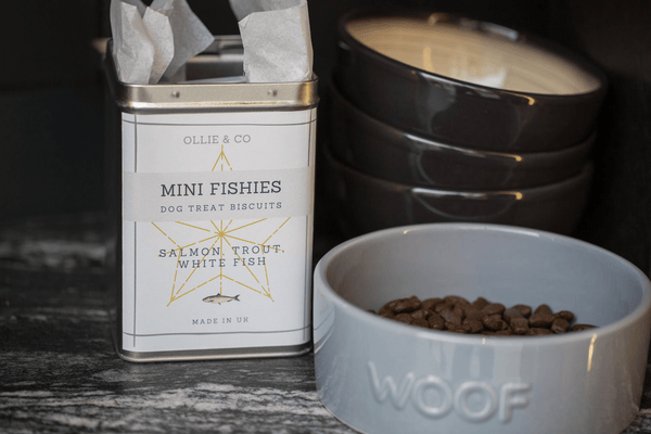 Tasty Mini Fishies Treats for Dogs