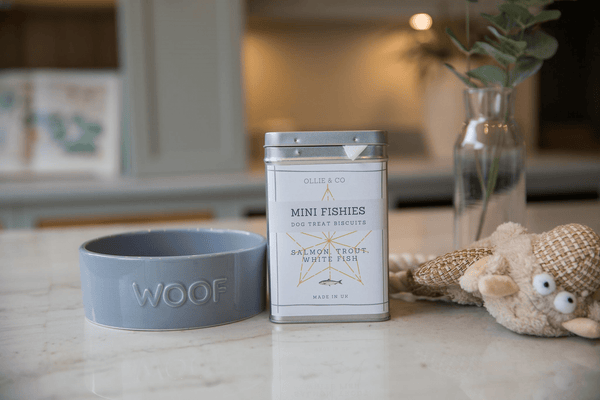 Tasty Mini Fishies Treats for Dogs