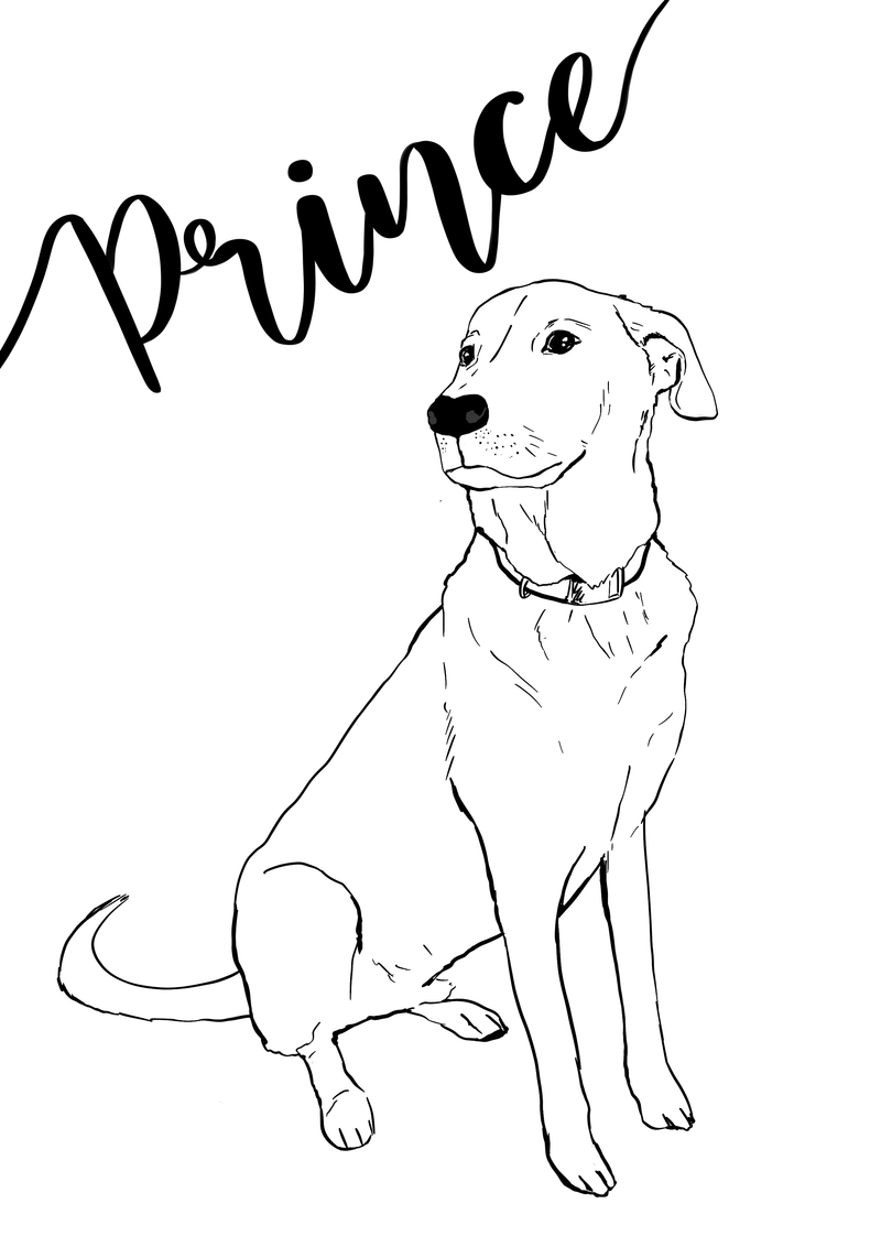 Personalised Dog Portrait, Monochrome