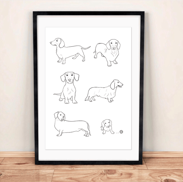 Dachshund Illustration