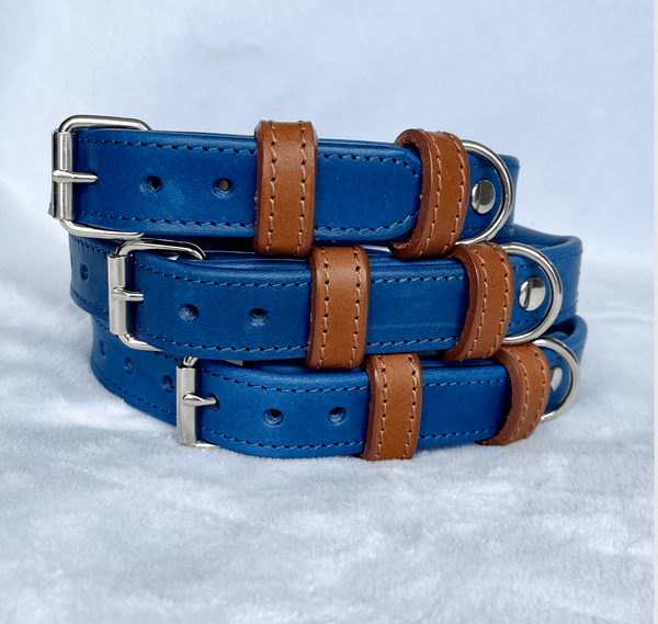 Collar Blue Rolled Leather Dog Collar