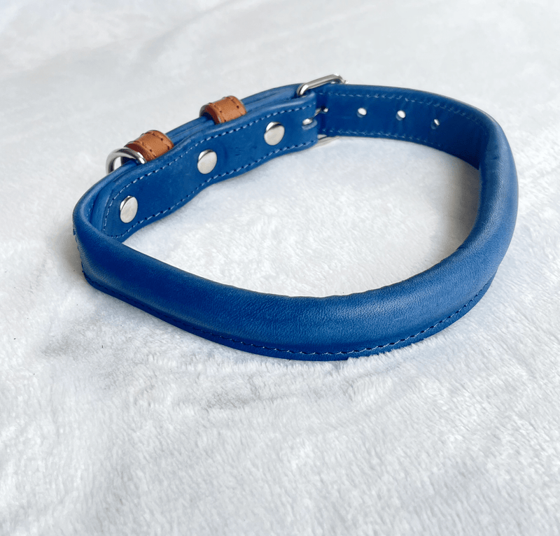 Collar Blue Rolled Leather Dog Collar