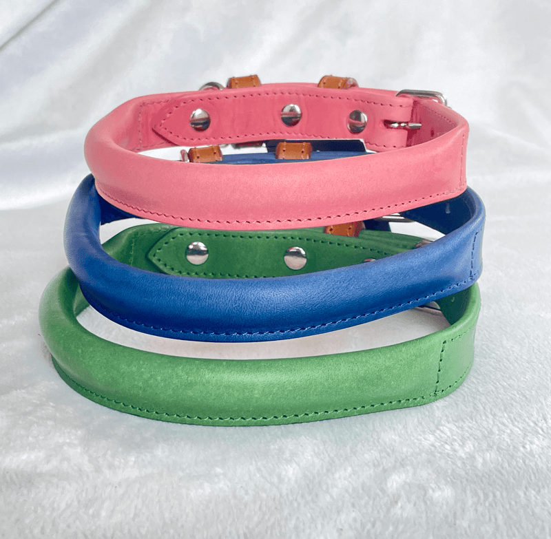 Collar Blue Rolled Leather Dog Collar