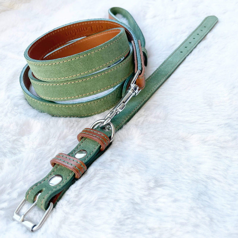 Collar Green Leather Dog Collar