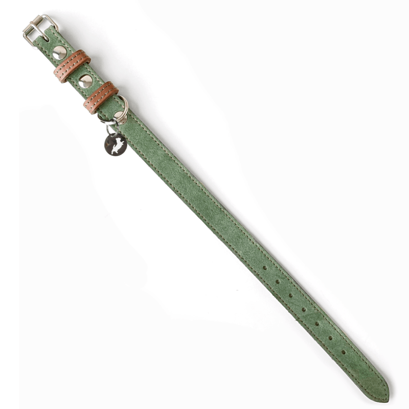 Collar Green Leather Dog Collar