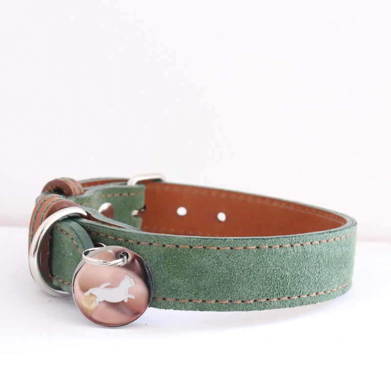 Collar Green Leather Dog Collar