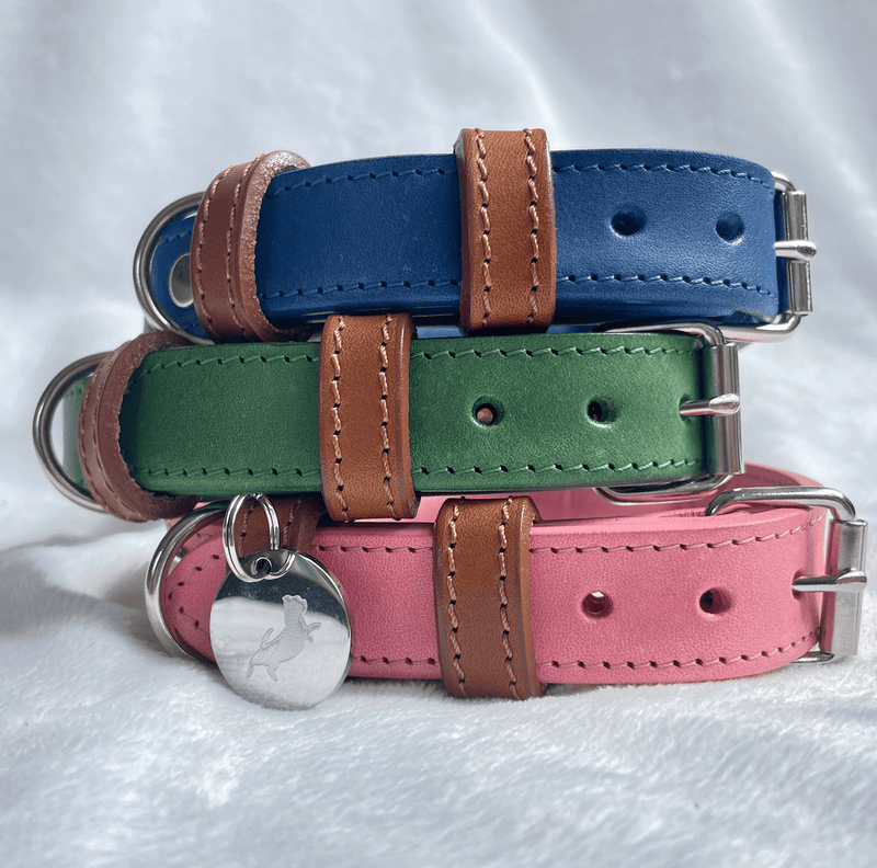 Collar Green Rolled Leather Dog Collar