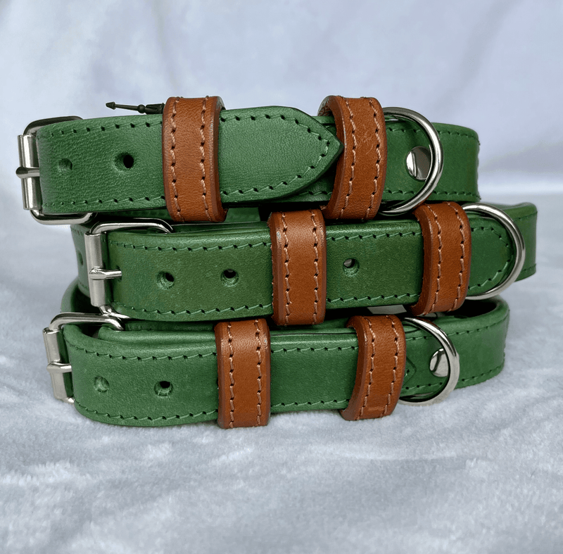 Collar Green Rolled Leather Dog Collar