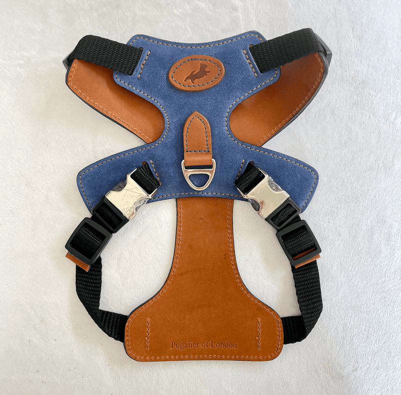 Harness Blue Leather Dog Harness