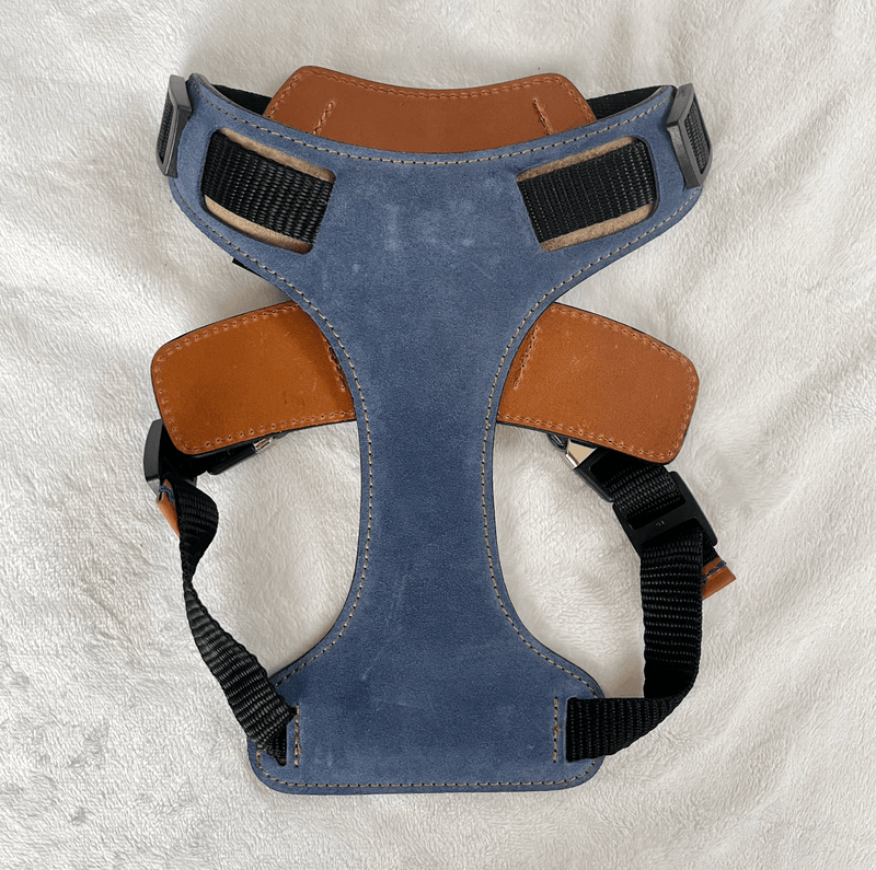 Harness Blue Leather Dog Harness