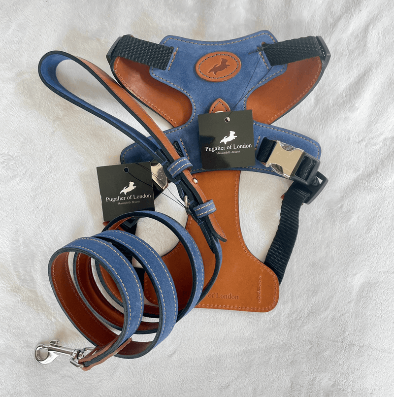 Harness Blue Leather Dog Harness