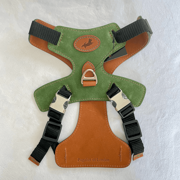 Harness Green Leather Dog Harness