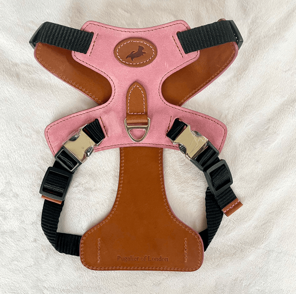 Harness Pink Leather Dog Harness