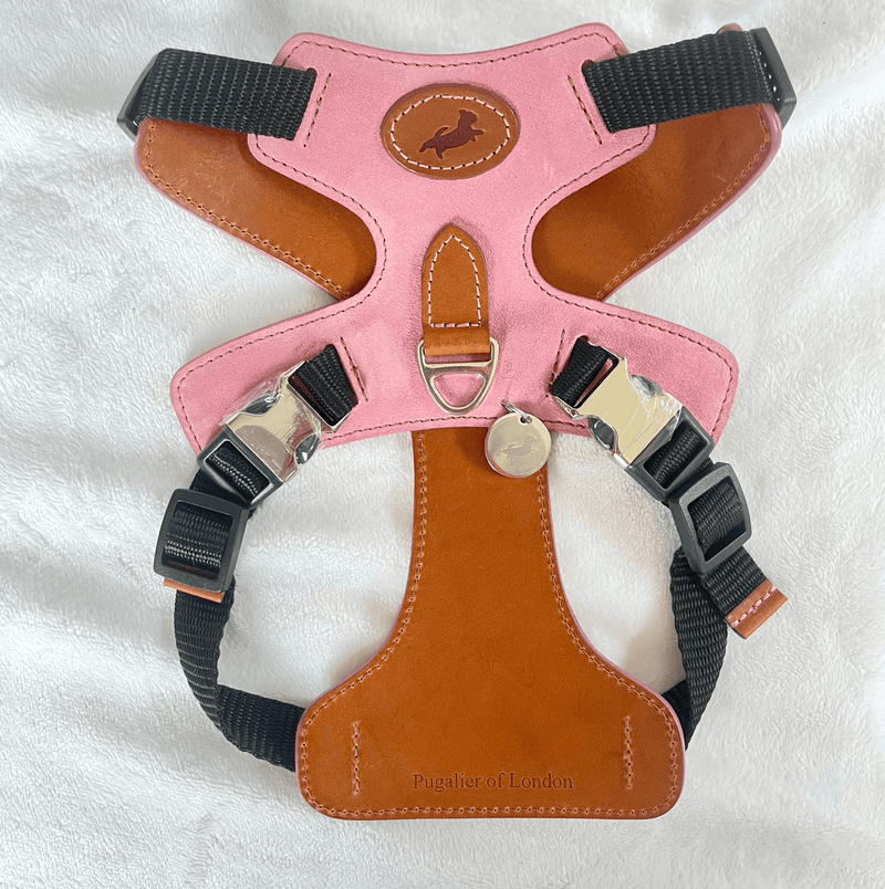 Pink leather dog sales harness