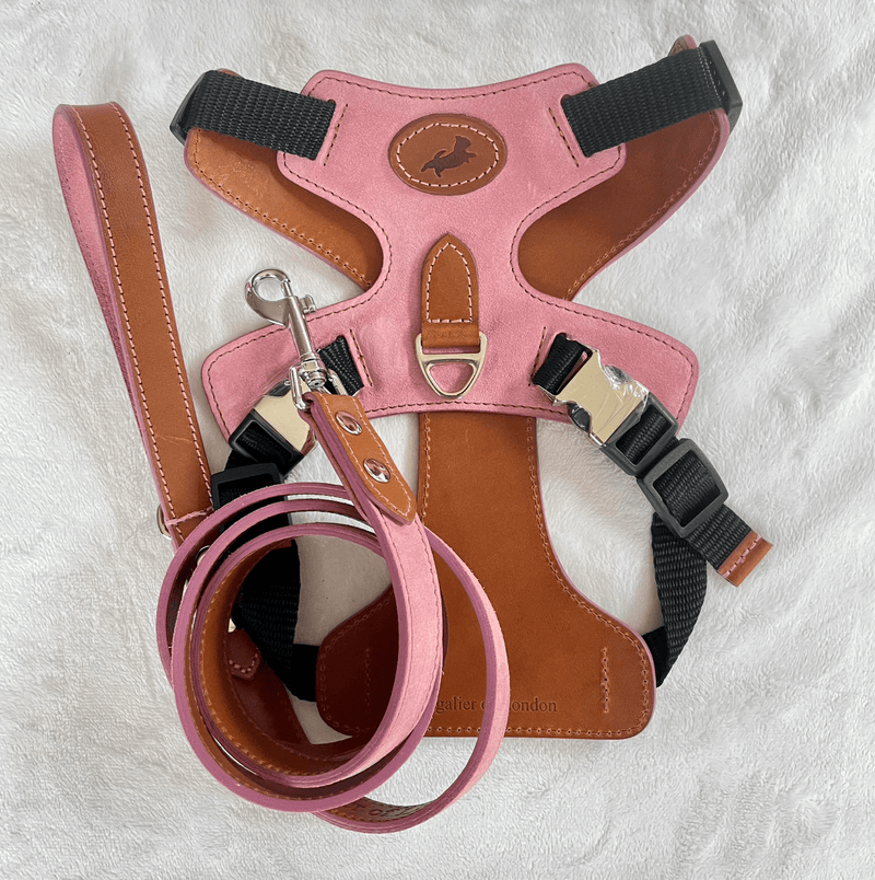 Harness Pink Leather Dog Harness