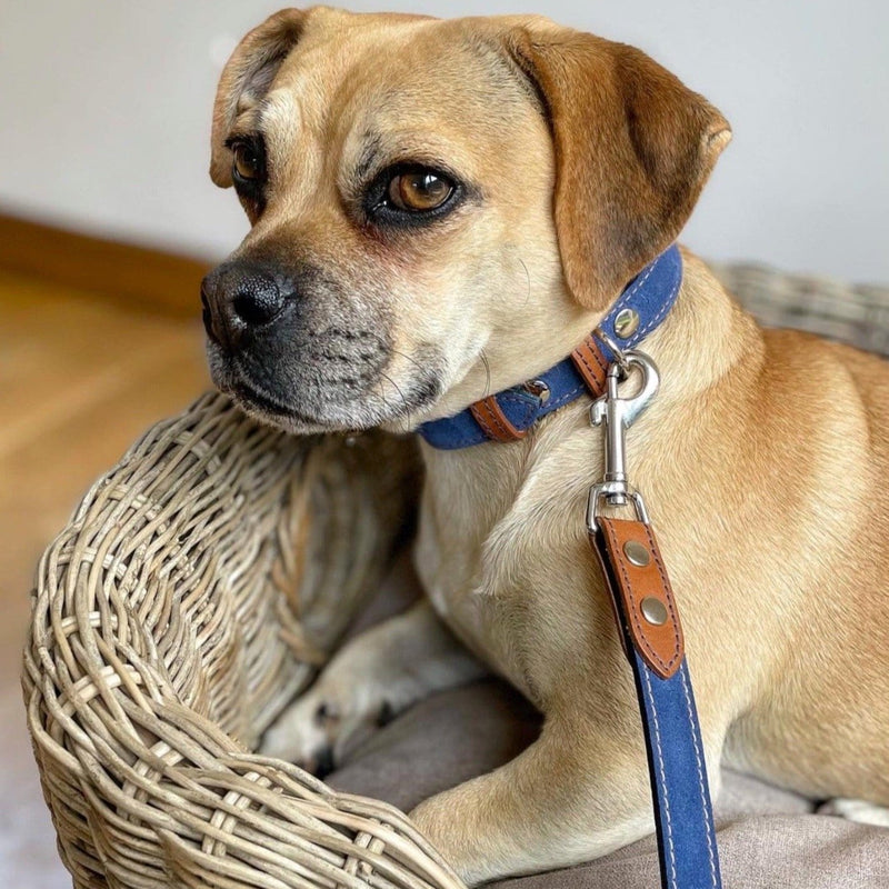 Lead Blue Leather Dog Lead