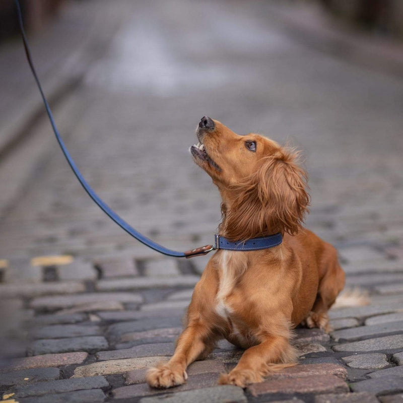 Lead Blue Leather Dog Lead