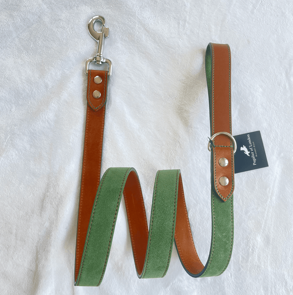 Lead Green Leather Dog Lead