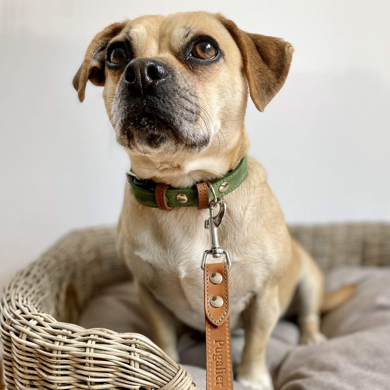 Lead Green Leather Dog Lead