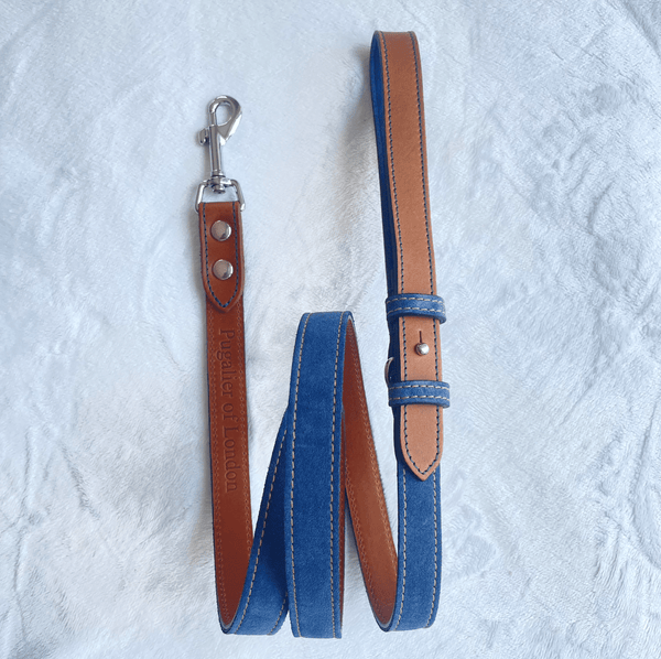 Lead Soft Blue Leather Dog Lead