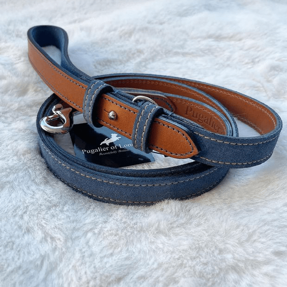 Lead Soft Blue Leather Dog Lead