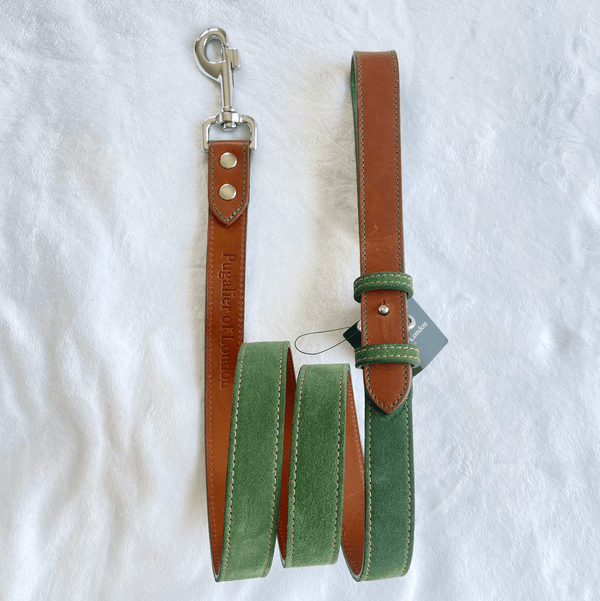 Lead Soft Green Leather Dog Lead