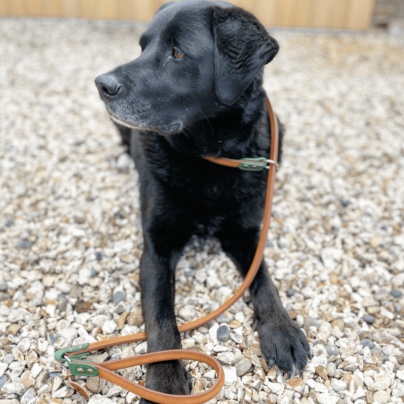 Lead Wimbledon Green Green Rolled Leather Slip Lead