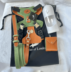 Pooch Pack Pooch Pack Harness  - Green