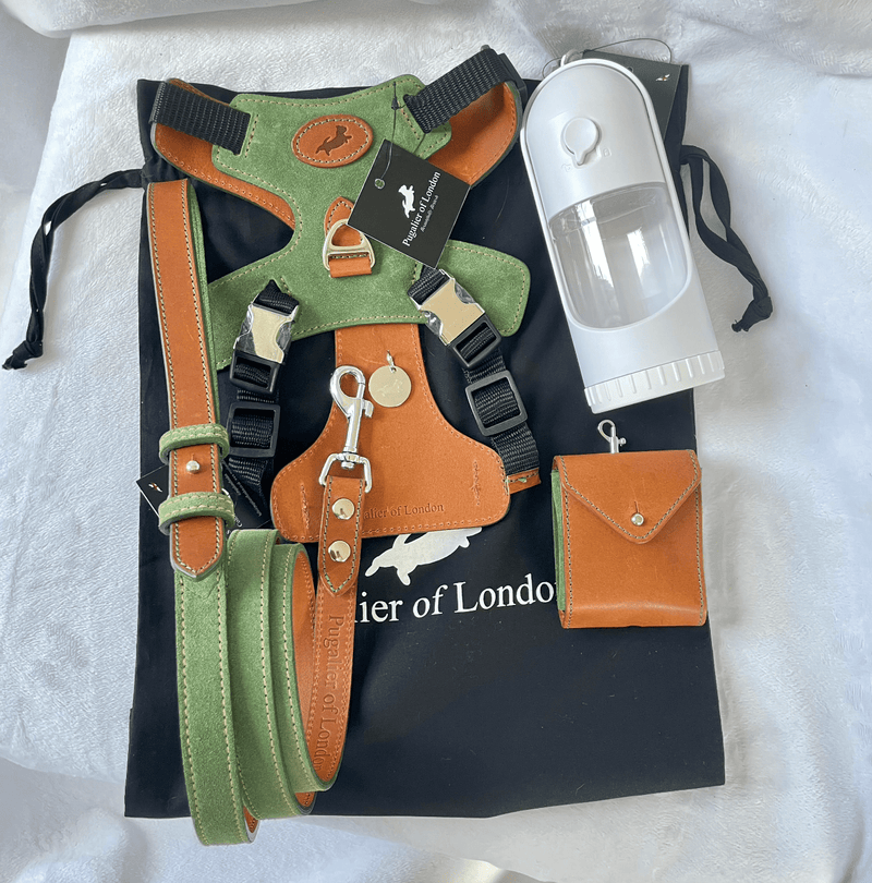 Pooch Pack Pooch Pack Harness  - Green