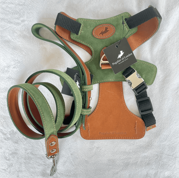 Pooch Pack Pooch Pack Harness  - Green