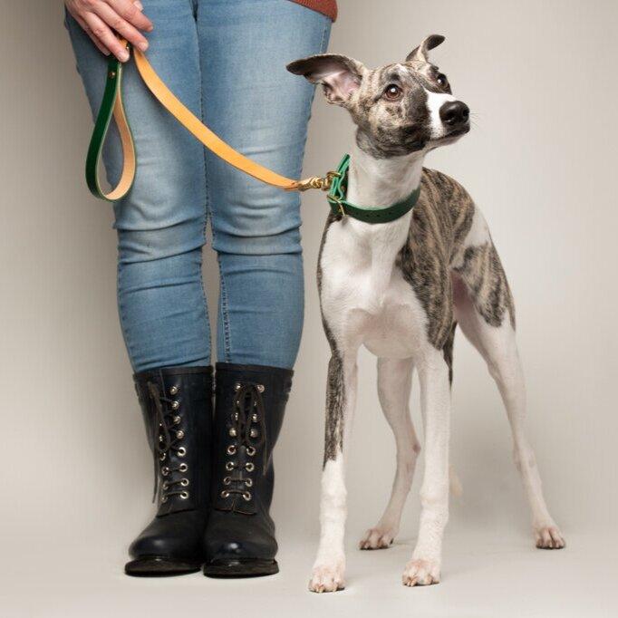 Dog Collar Forest Green and Natural Tan Artisan lead
