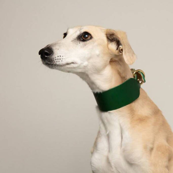 Dog Collar Forest Green Artisan Sighthound collar