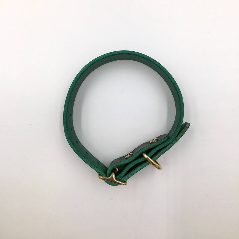 Dog Collar Puppy/sml breed Forest Green Artisan collar