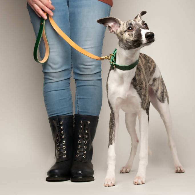 Dog Lead Greige and Tan Artisan lead