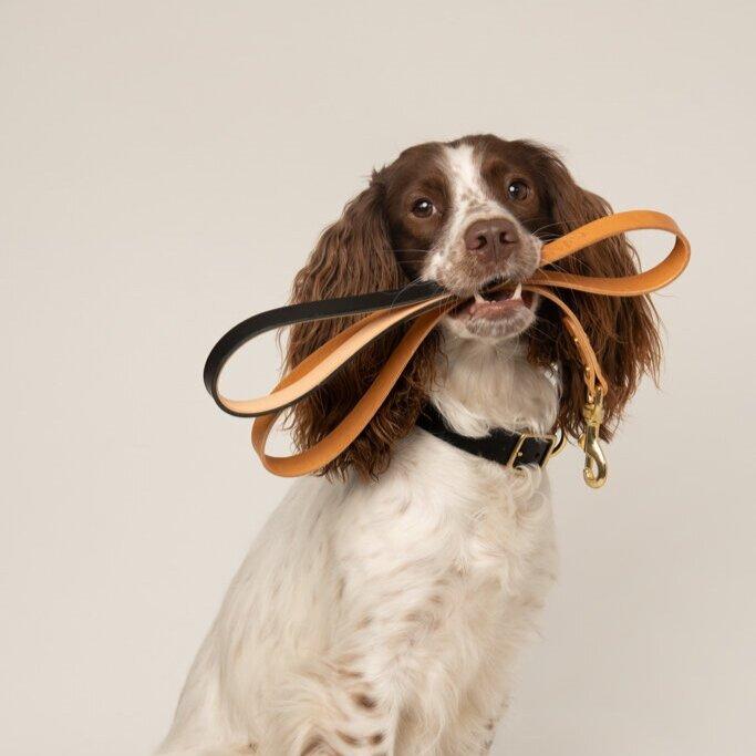 Dog Lead Raven Black and Tan Artisan lead