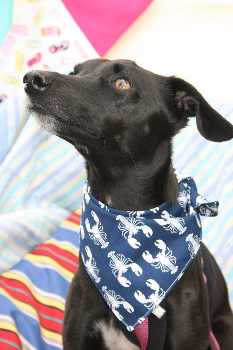 Rock Lobster' Bandana
