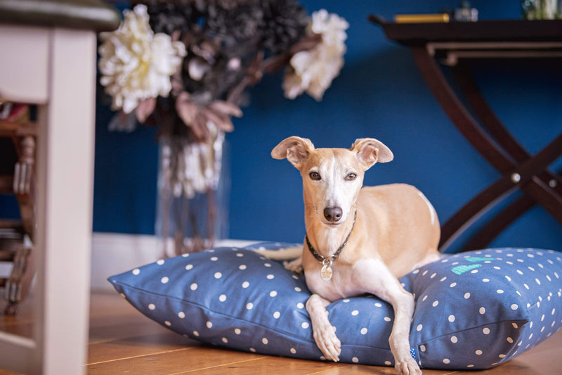 Dog Blanket Personalised Dog Cushion