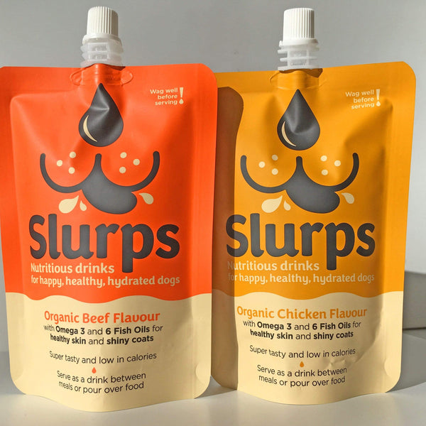 Healthy drinks top for dogs