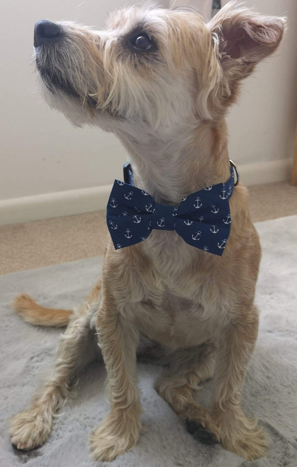 Dog Bow Ties Dog Bow-Tie