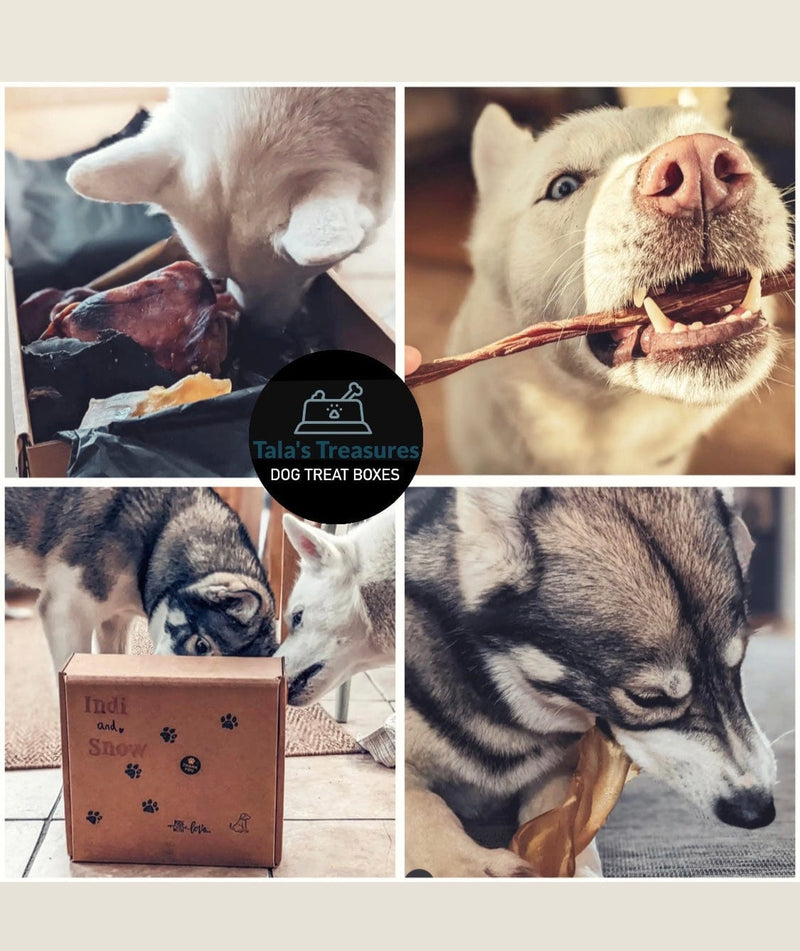 Chunky Chomp Natural Dog Treat Box