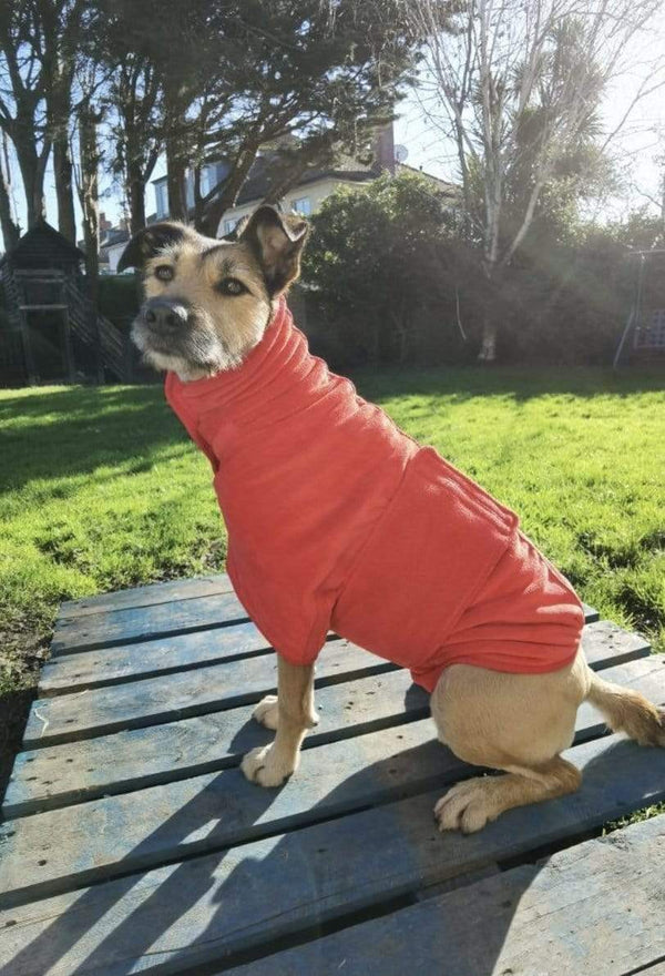 The Ultimate Dog Drying Robe