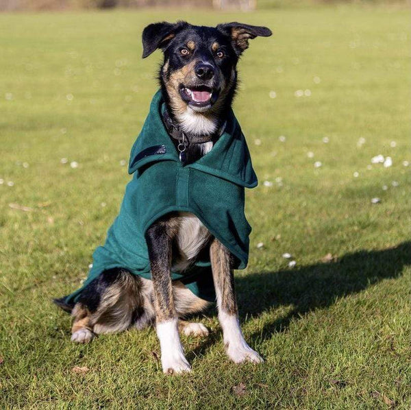 Drying Coat The Ultimate Dog Drying Robe