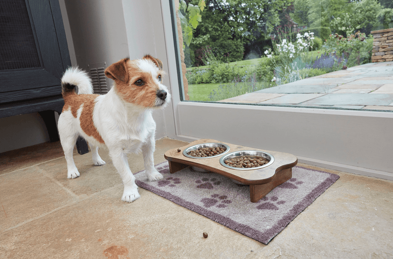Brown Paws Door Mat