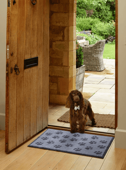 Grey Paws Door Mat